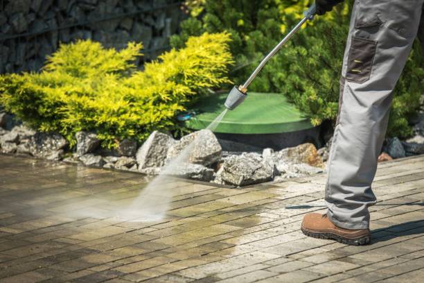 Best Roof Cleaning and Mildew Removal in Swartz, LA