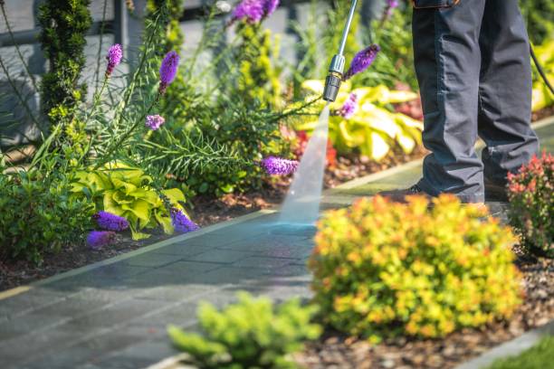 Best Concrete Surface Cleaning in Swartz, LA
