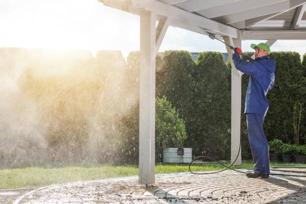 Best Pool Deck Cleaning in Swartz, LA